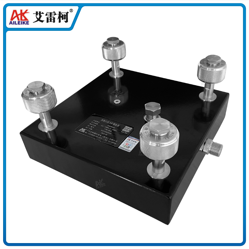 ALKZ904GL 多接口壓力擴(kuò)展裝置