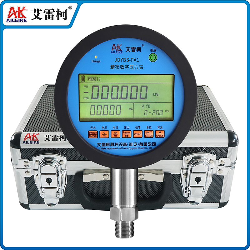 JDYBS-FA1 精密數(shù)字壓力表
