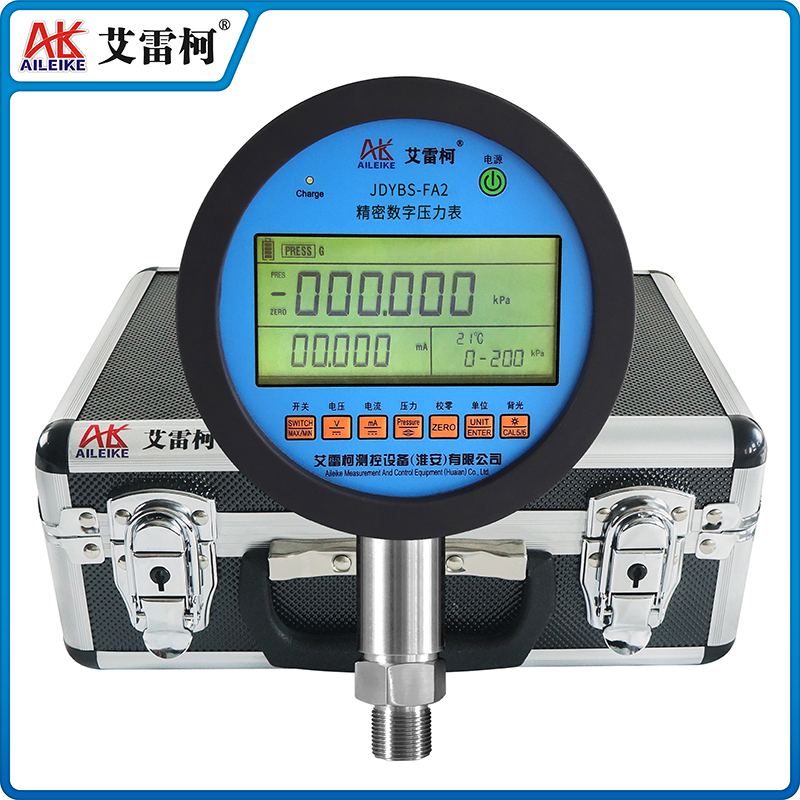JDYBS-FA2 精密數(shù)字壓力表 