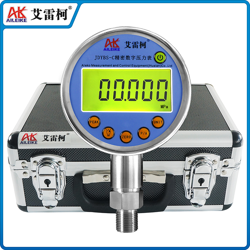 JDYBS-C 精密數(shù)字壓力表   